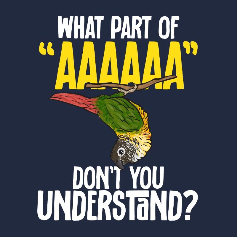Molina Parakeet Parrot Bird Parakeet
