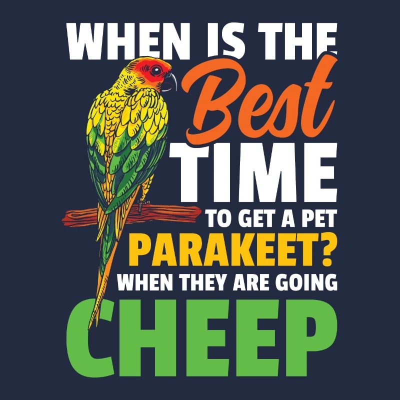 When Is The Best Time To Get A Pet Parakeet