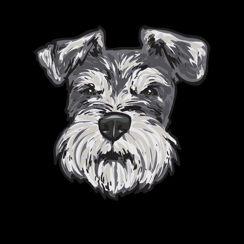 Schnauzer nain Chien Schnauzer