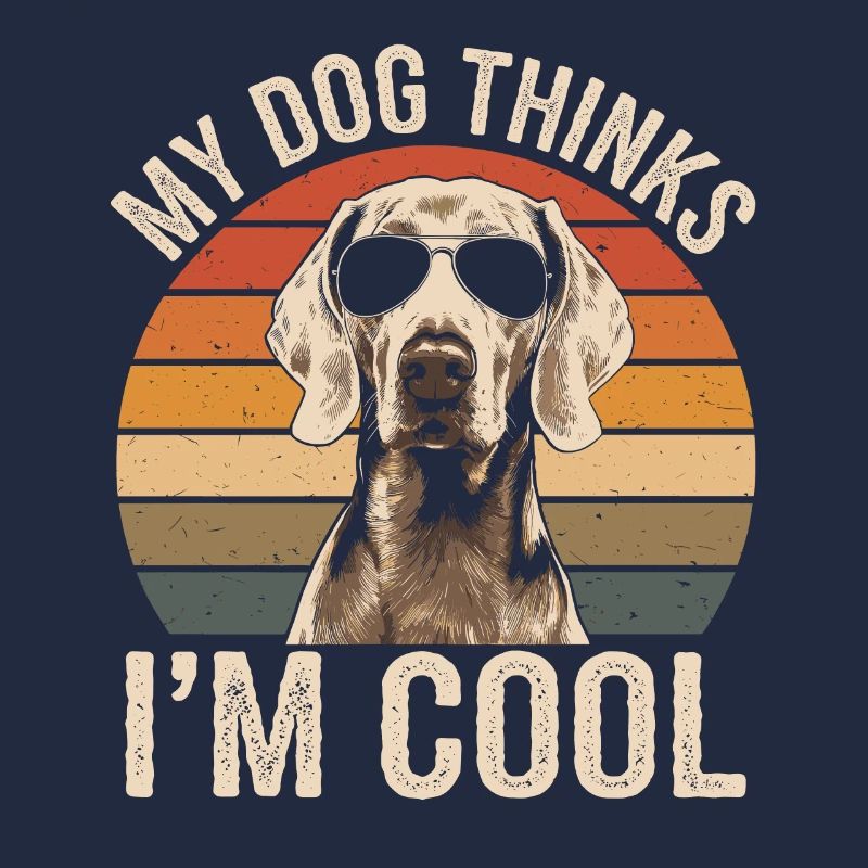 Braque de Weimar Mon chien pense que je suis cool