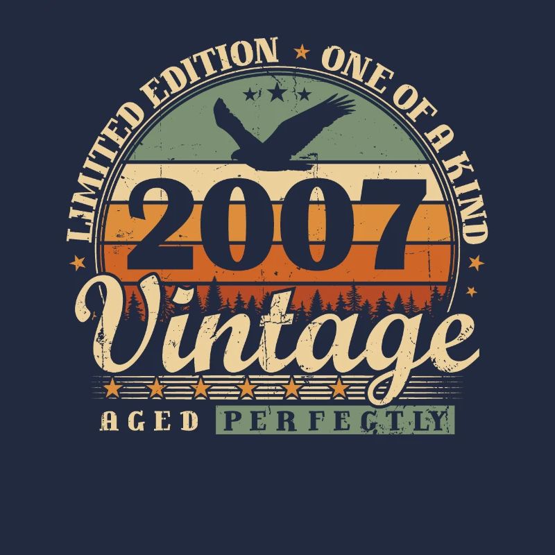 Geboren 2007 Vintage Geburtstag Geschenk