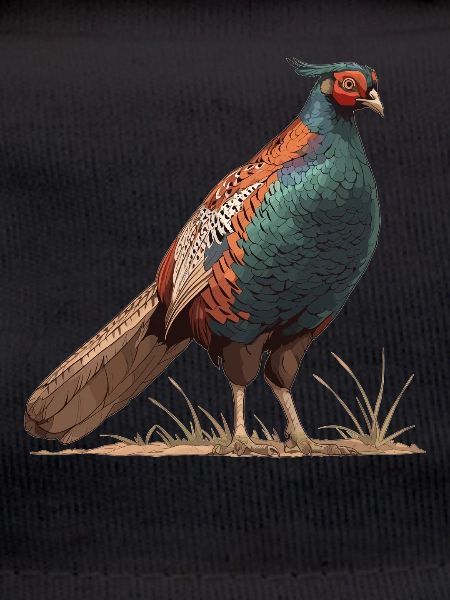 Pheasants Pheasant
