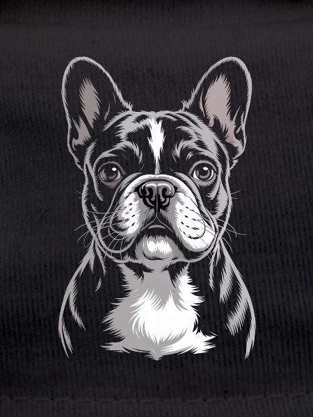 Bouledogue français Frenchie