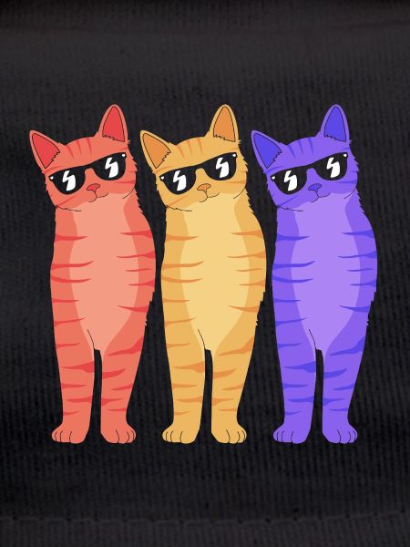 Tabby Cat