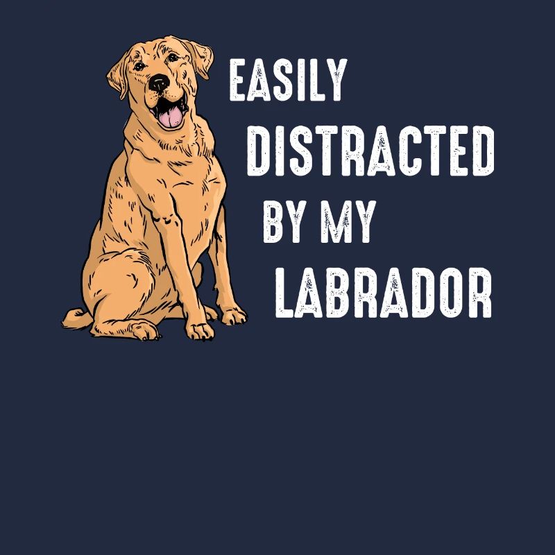 Labrador Dog