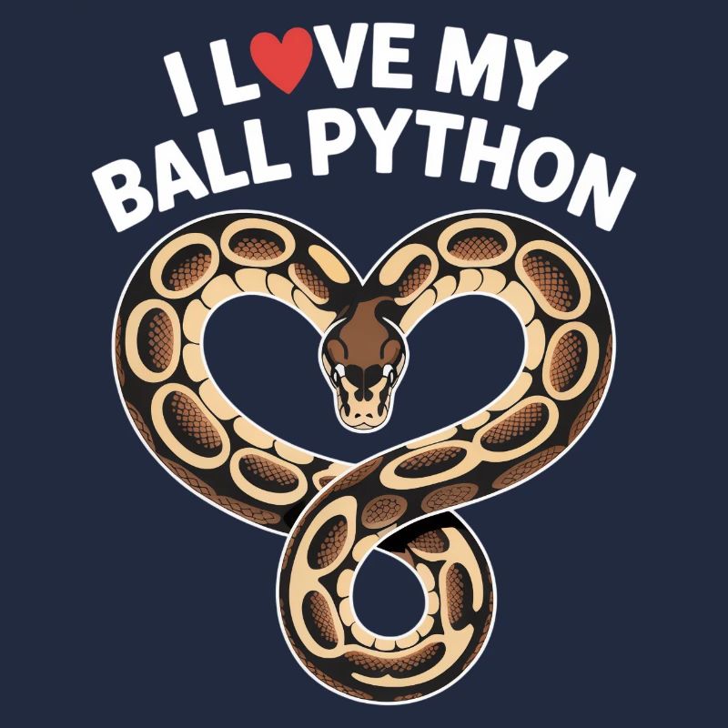 J’adore mon python royal ! Roi python