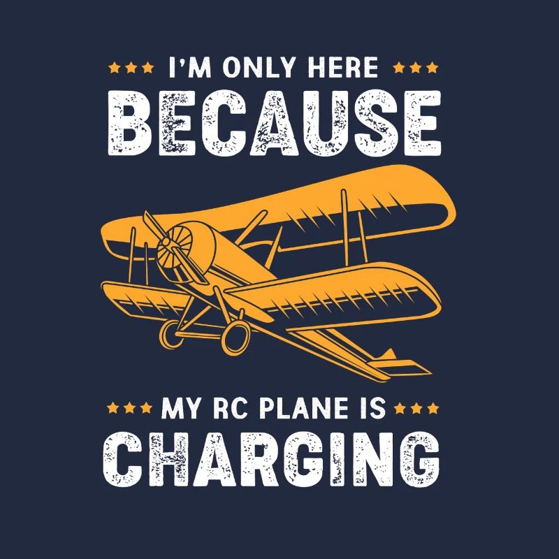 Modellflugzeug Modellflug
