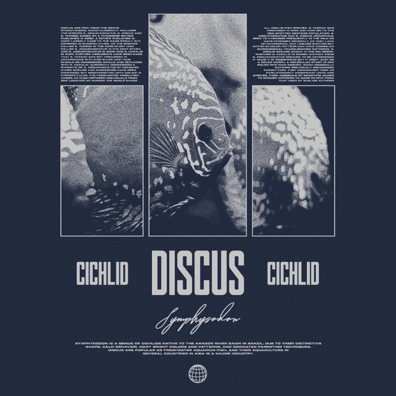 Discus Cichlidé Aquarium Fish Keeper