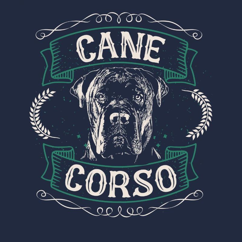 Cane Corso Hund