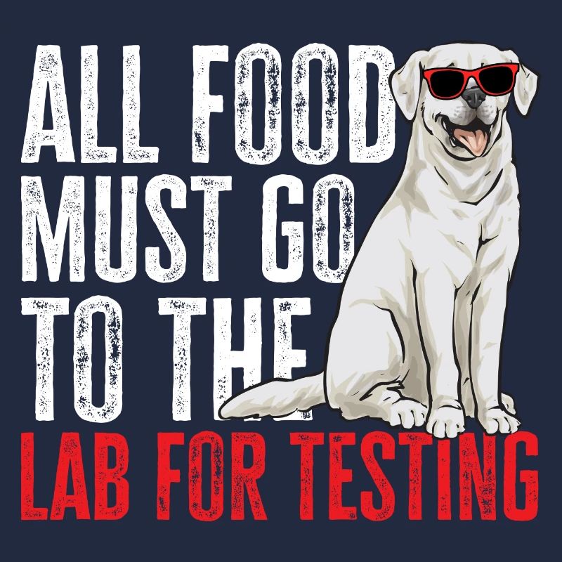Labrador Retriever blanc Labrador Labrador blanc