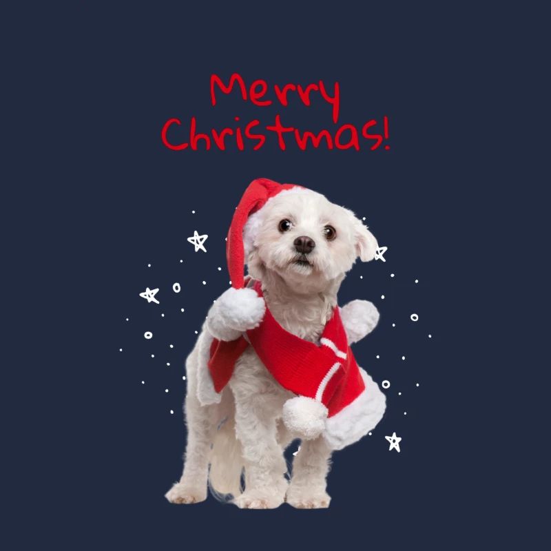 Doux Noël