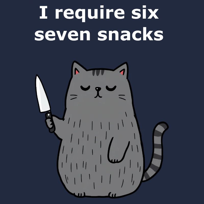 6-7 Internet Meme 6 7 Snack Cat
