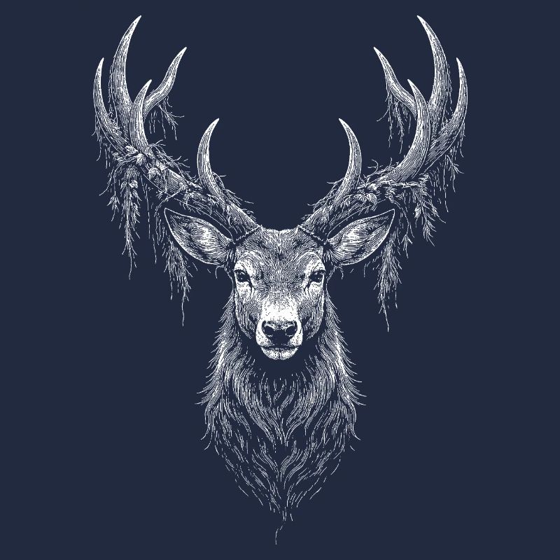 Rotwild 