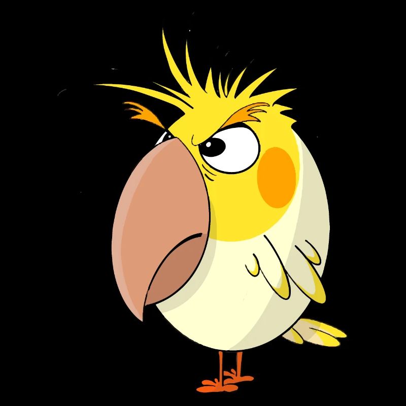 Wütende Calopsitta