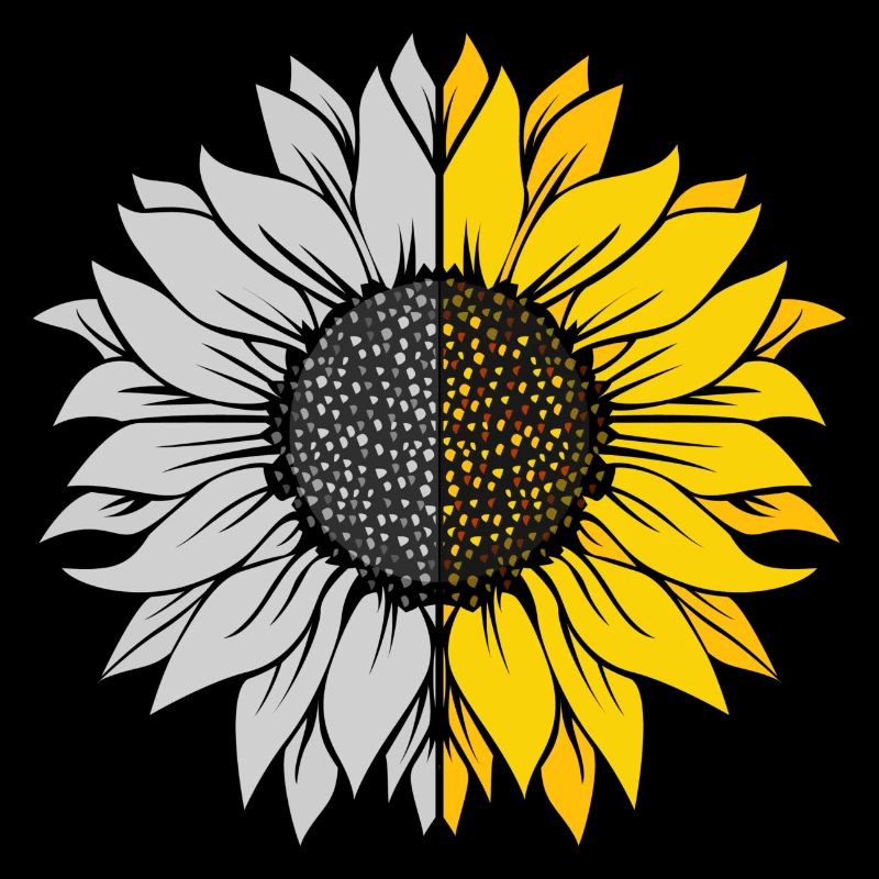 Sonnenblumen