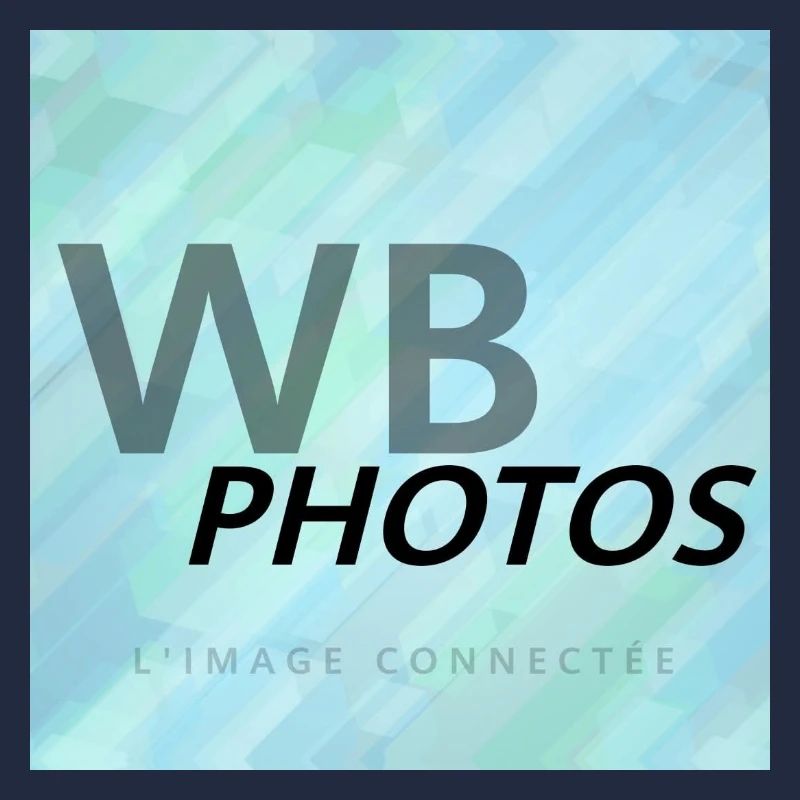 LOGO WBP BLEU CLAIR