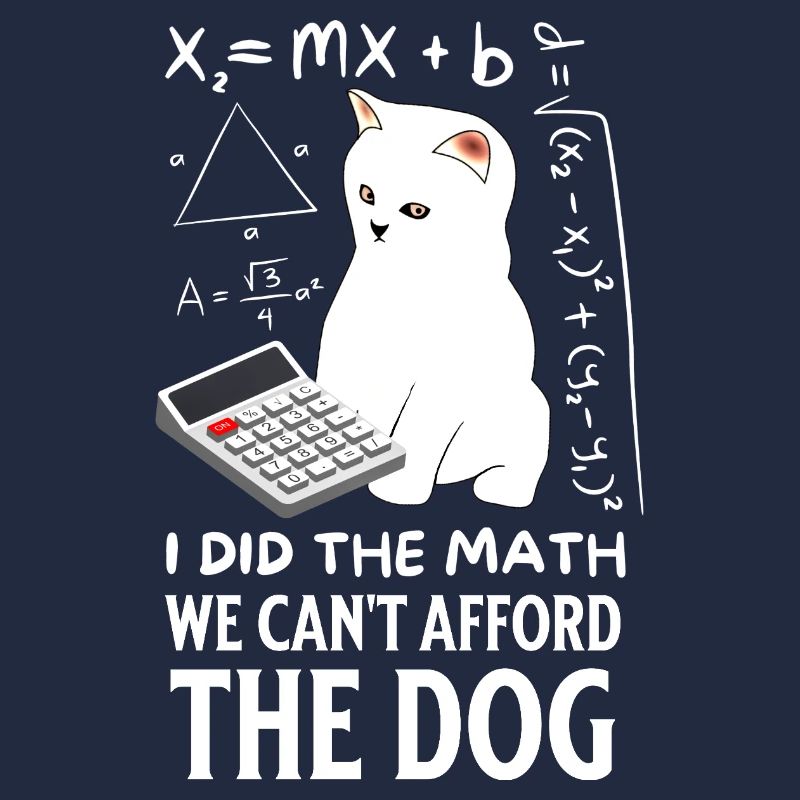 Humorous Cat Math Design