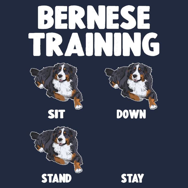 Bouvier Bernois Training Chien