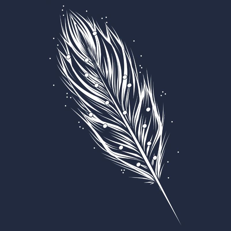 une plume blanche