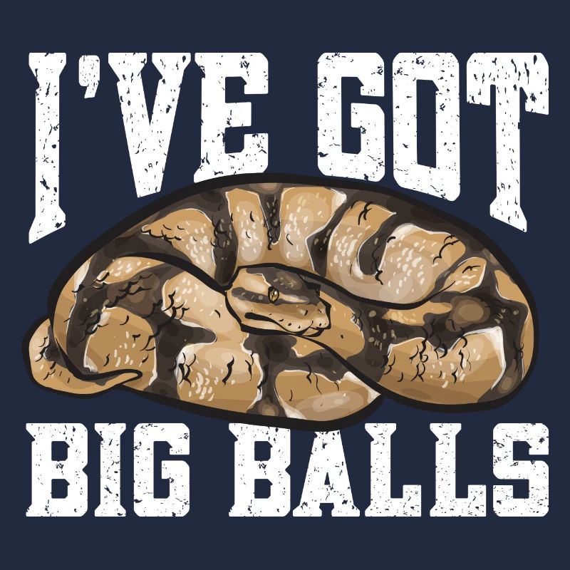 Ball Python Schlange Königspython