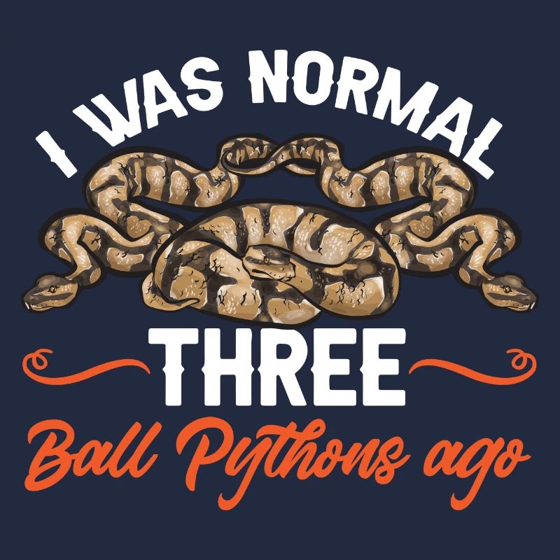 Ball Python Schlange Königspython