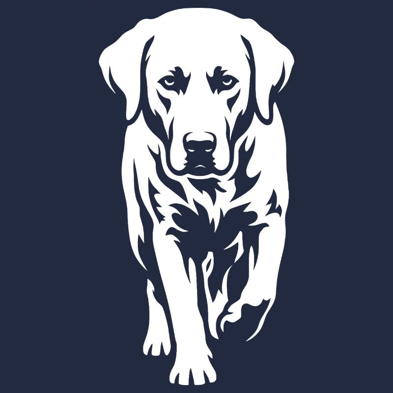 Labrador – Timeless elegance