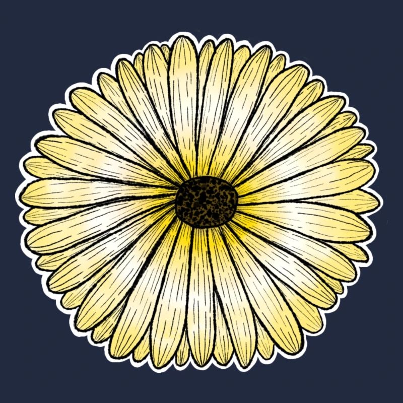 Yellow daisy