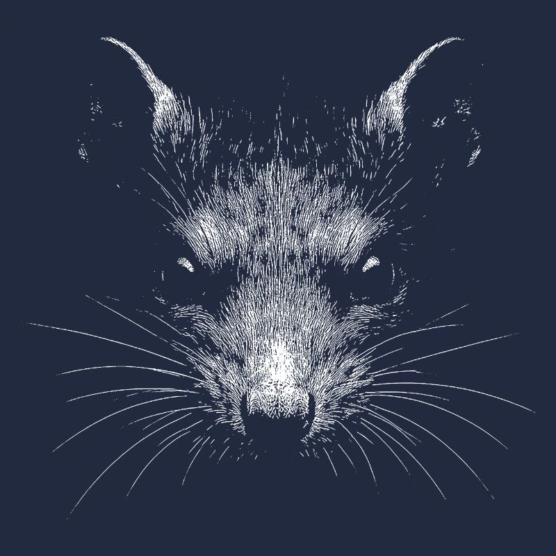 Rat