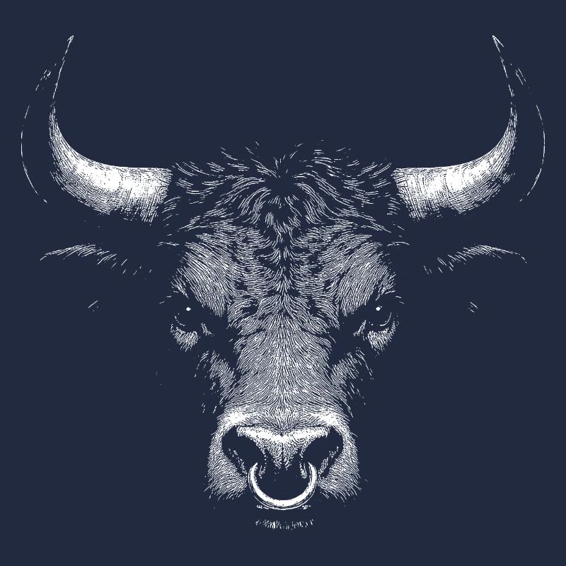 Taureau