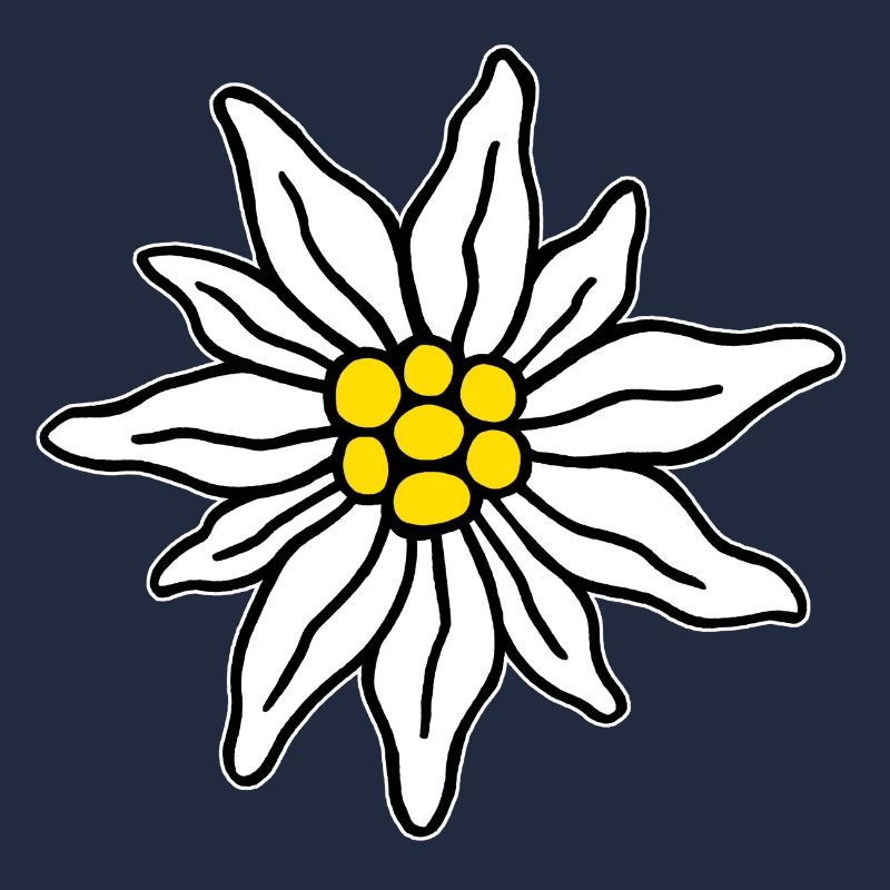 Edelweiss II