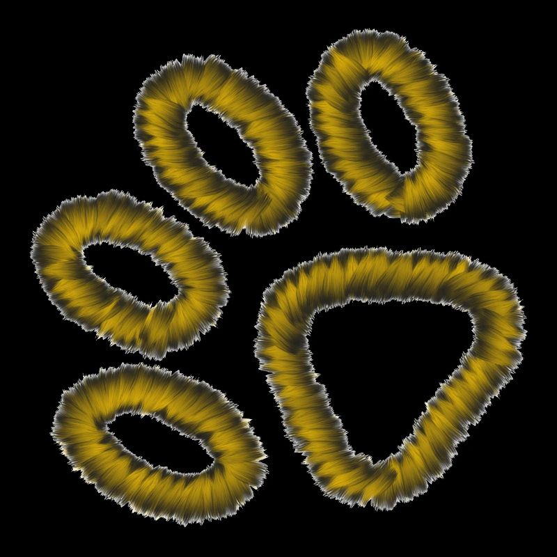 golden tiger paw