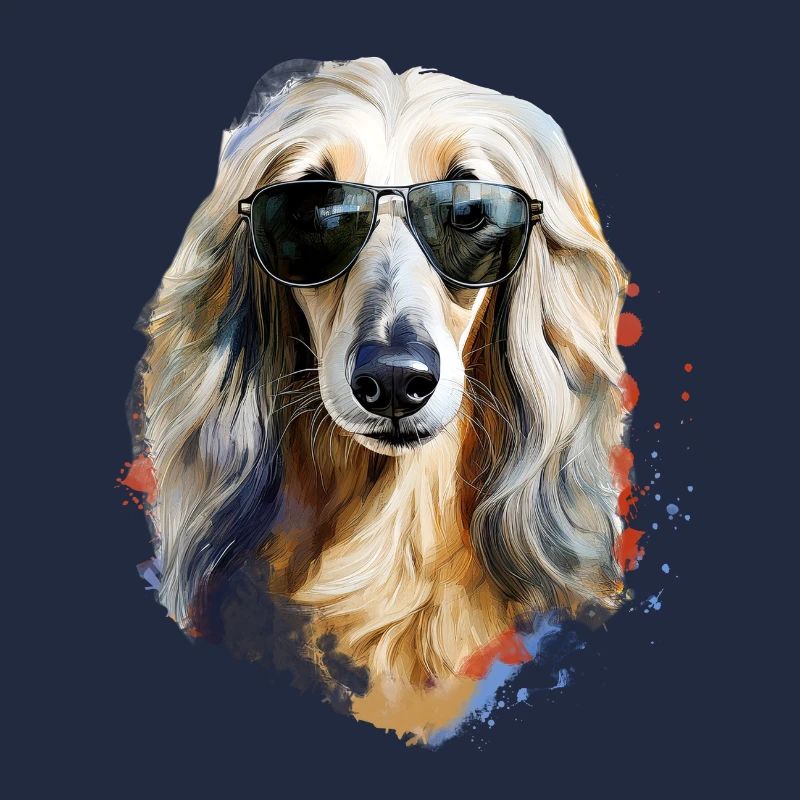 Afghanischer Windhund mit Sonnenbriller