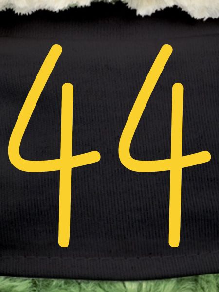 44