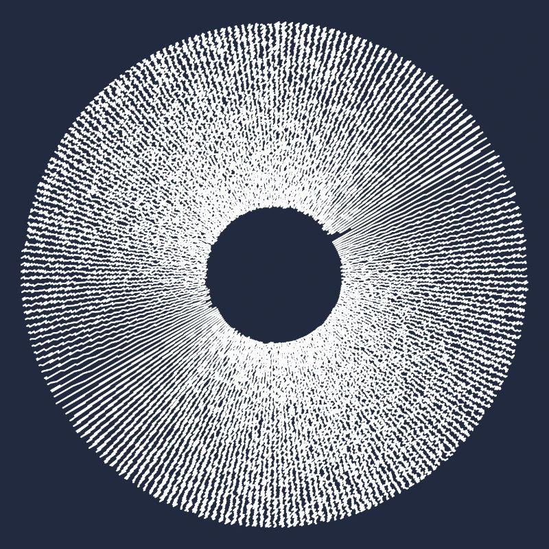 Iris Ringburst Radial Pattern
