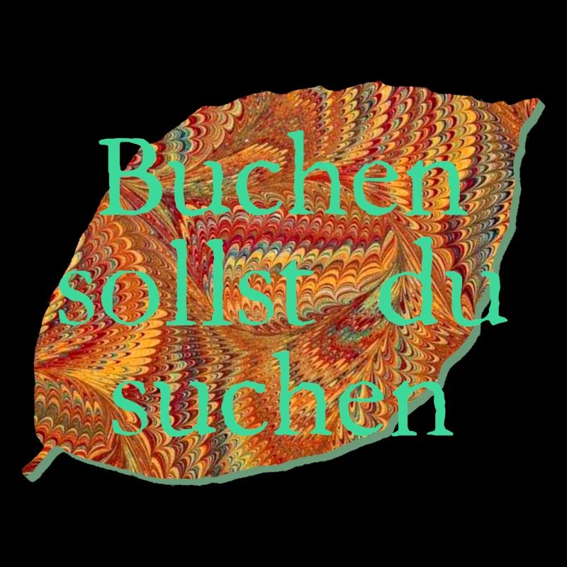 buche e 22