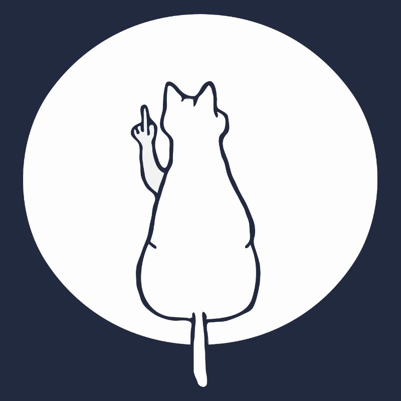 Katze Katzen Cat Kätzchen Mieze Mittelfinger