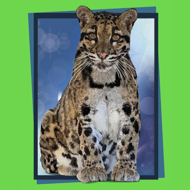 Clouded leopard