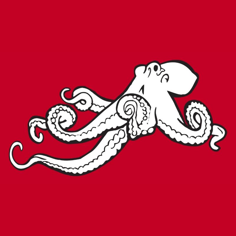 squid giant octopus octopus octopus squid sepia fish