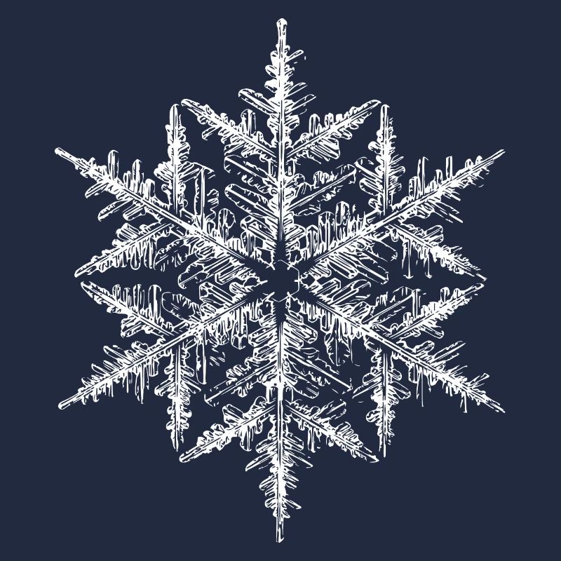 snowflake 5 white