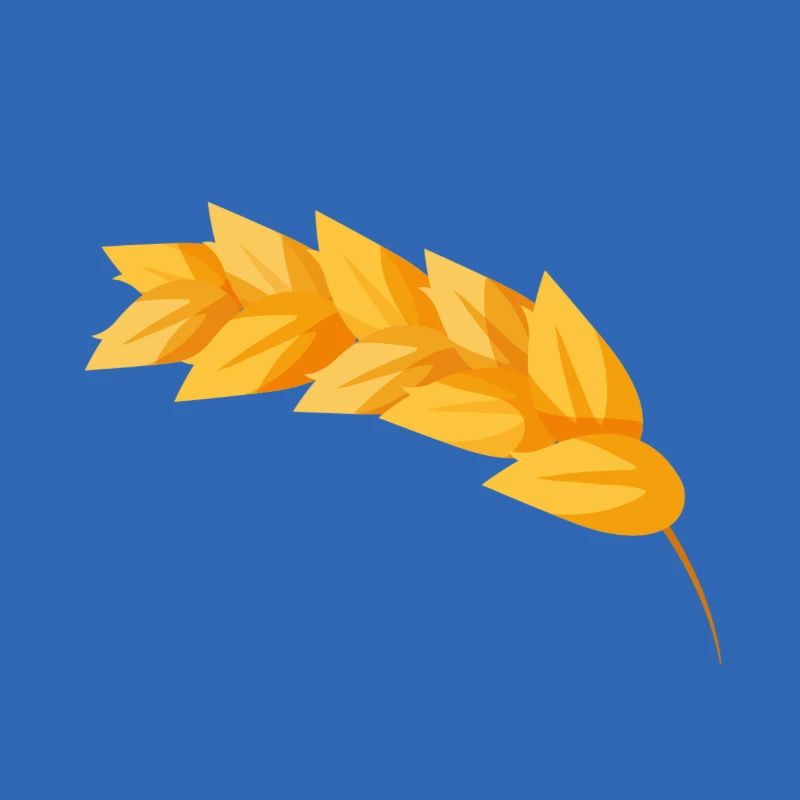 Corn grain corn