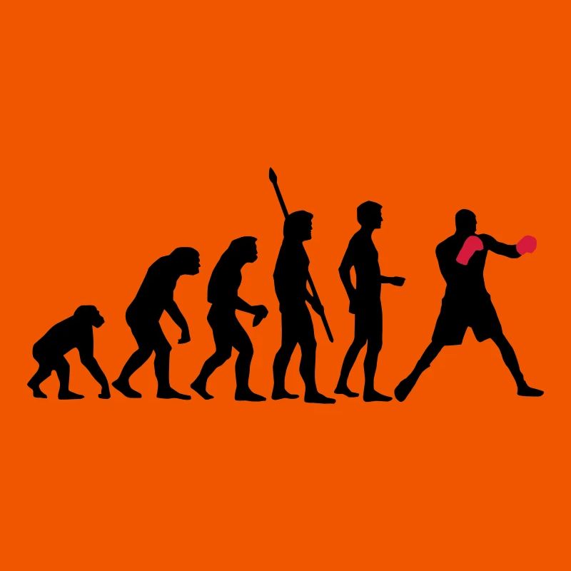 evolution_boxen_b_2c