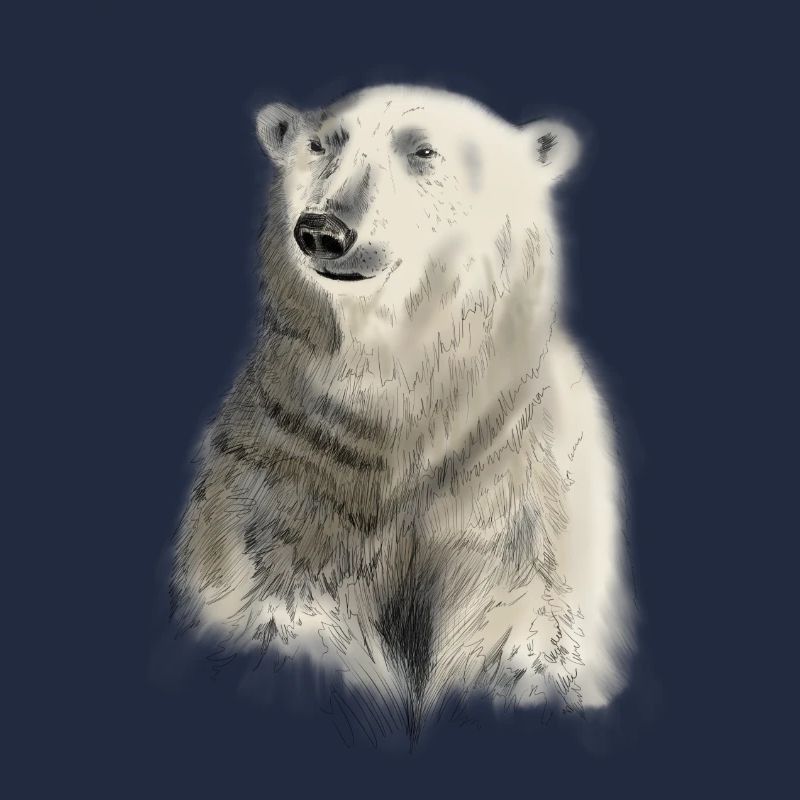 ours blanc