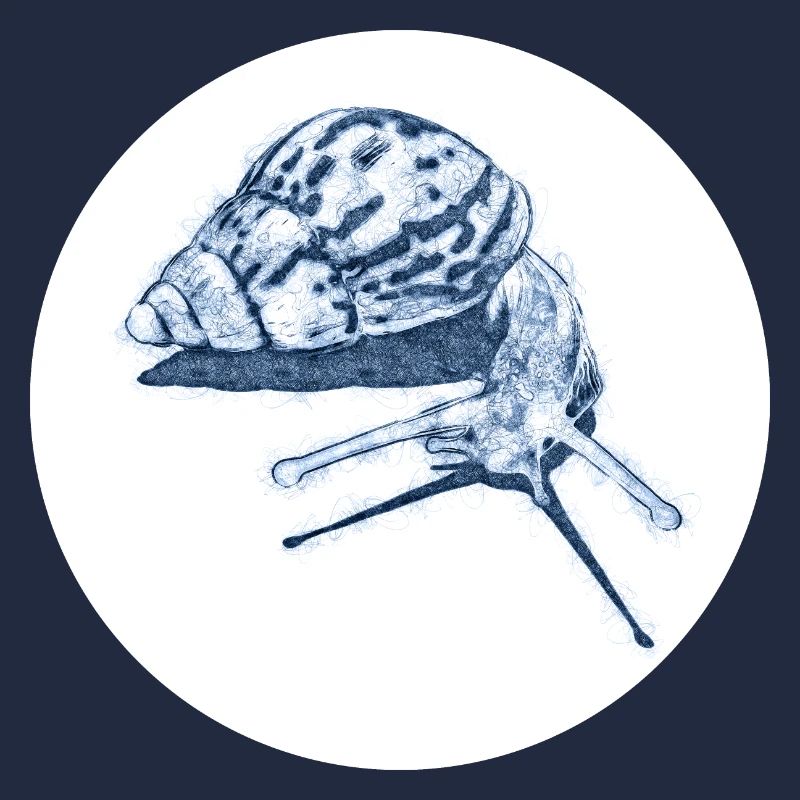 snail with shadow scribble art