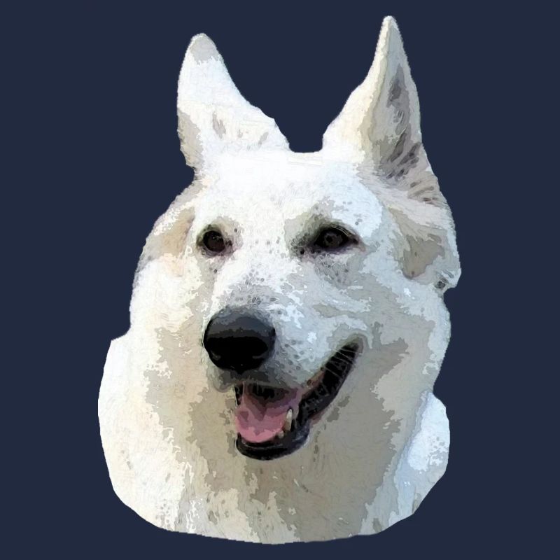 Berger Blanc