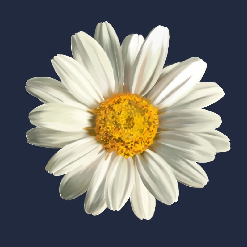 chamomile