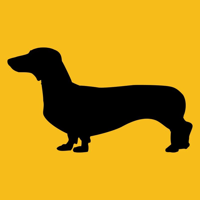 Chien - teckel
