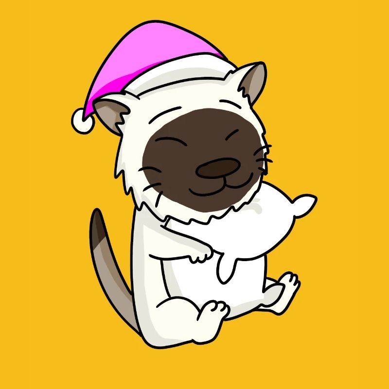 Chat race de chat Birmanie