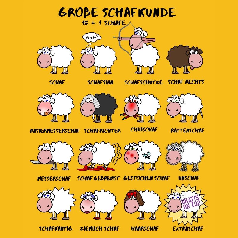 Great sheep knowledge