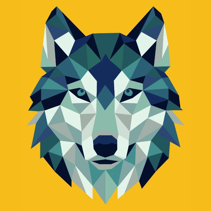 Géométrie des polygones Wolf Head