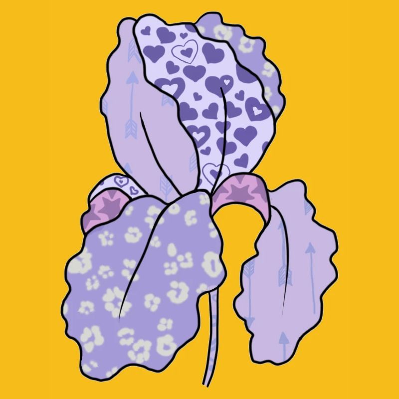 Bunte_Iris